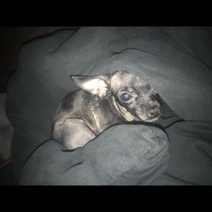 Meet your Posher, Brooke